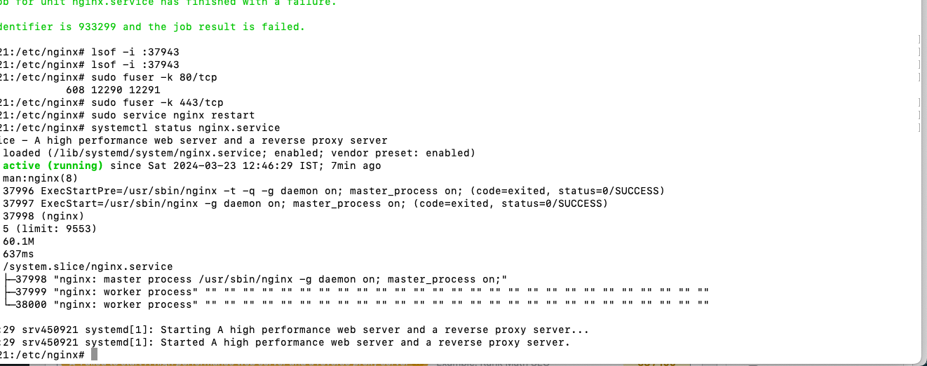 Failed to start A high performance web server and a reverse proxy server